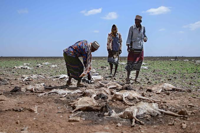 Bevrijdingstheologie en klimaatcrisis