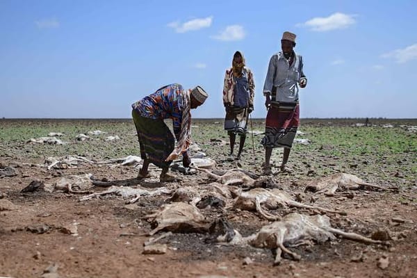 Bevrijdingstheologie en klimaatcrisis